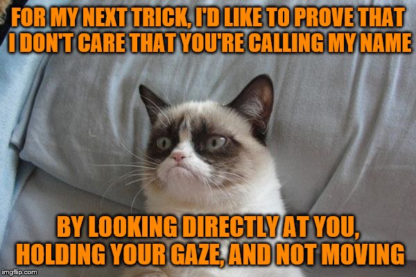 I wouldn't necessarily call it a trick, Grumpy. ~Inspired by Nopa~ |  FOR MY NEXT TRICK, I'D LIKE TO PROVE THAT I DON'T CARE THAT YOU'RE CALLING MY NAME; BY LOOKING DIRECTLY AT YOU, HOLDING YOUR GAZE, AND NOT MOVING | image tagged in memes,grumpy cat bed,grumpy cat,lazy,stubborn | made w/ Imgflip meme maker