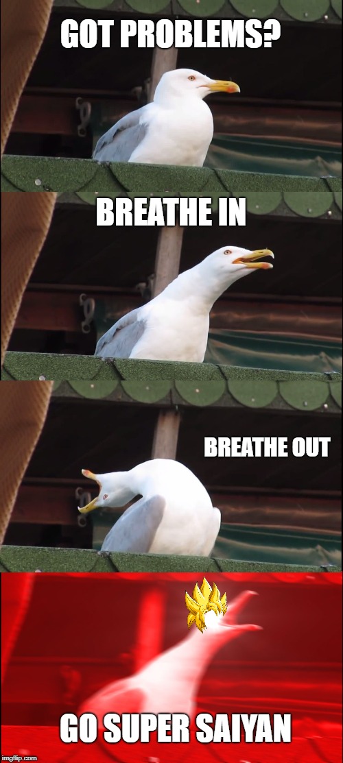 Inhaling Seagull Meme | GOT PROBLEMS? BREATHE IN; BREATHE OUT; GO SUPER SAIYAN | image tagged in memes,inhaling seagull | made w/ Imgflip meme maker