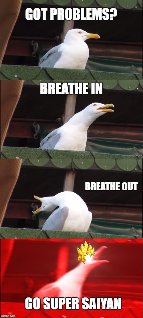 Inhaling Seagull | GOT PROBLEMS? BREATHE IN; BREATHE OUT; GO SUPER SAIYAN | image tagged in memes,inhaling seagull | made w/ Imgflip meme maker