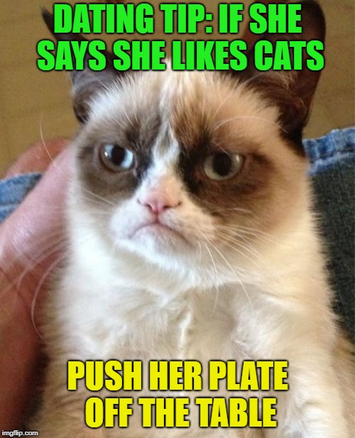 She will love it.... | DATING TIP: IF SHE SAYS SHE LIKES CATS; PUSH HER PLATE OFF THE TABLE | image tagged in memes,grumpy cat,funny | made w/ Imgflip meme maker