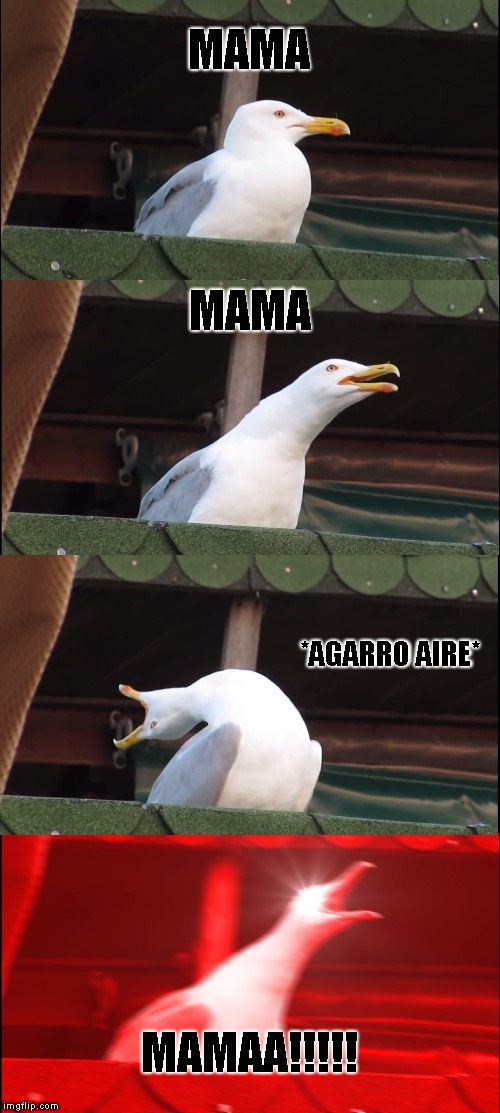 Inhaling Seagull | MAMA; MAMA; *AGARRO AIRE*; MAMAA!!!!! | image tagged in memes,inhaling seagull | made w/ Imgflip meme maker