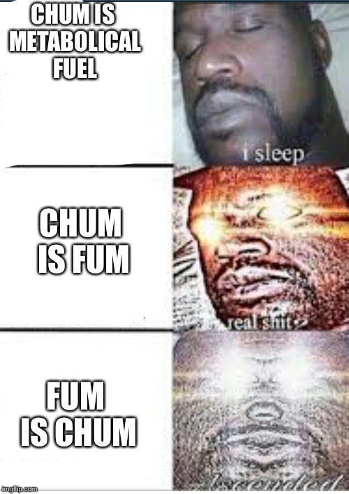 ascended shaq | CHUM IS METABOLICAL FUEL; CHUM IS FUM; FUM IS CHUM | image tagged in ascended shaq | made w/ Imgflip meme maker