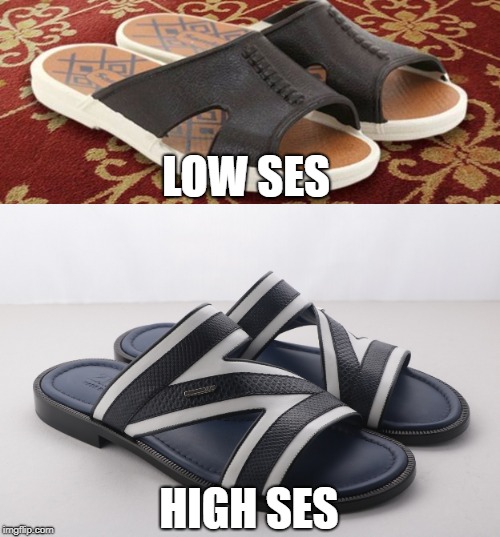 Like if you get it. Which side do you belong? | LOW SES; HIGH SES | image tagged in ses,meme,bata,zilli,slippers,fashion | made w/ Imgflip meme maker