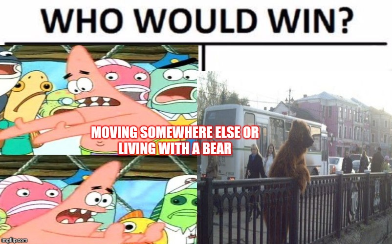 Who would win | MOVING SOMEWHERE ELSE
OR LIVING WITH A BEAR | image tagged in spongebob,memes | made w/ Imgflip meme maker
