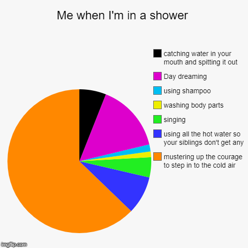 Me when I'm in a shower | mustering up the courage to step in to the cold air, using all the hot water so your siblings don't get any, singi | image tagged in funny,pie charts | made w/ Imgflip chart maker