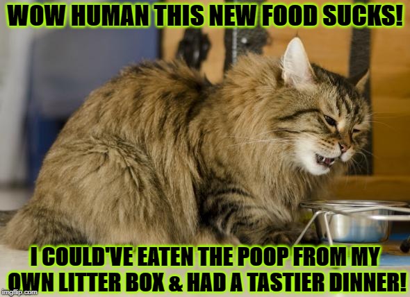 WOW HUMAN THIS NEW FOOD SUCKS! I COULD'VE EATEN THE POOP FROM MY OWN LITTER BOX & HAD A TASTIER DINNER! | image tagged in the food sucks | made w/ Imgflip meme maker