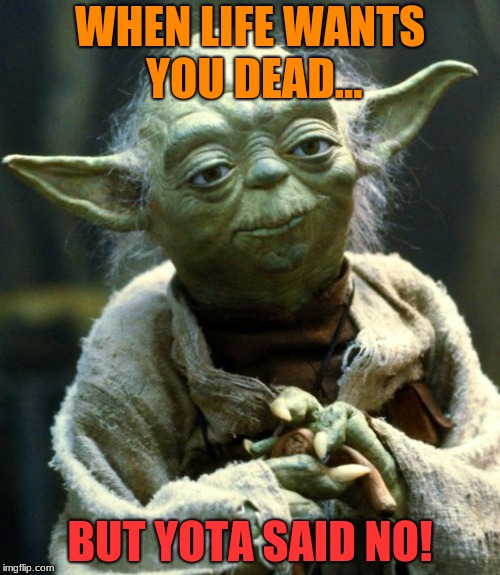 Star Wars Yoda Meme | WHEN LIFE WANTS YOU DEAD... BUT YOTA SAID NO! | image tagged in memes,star wars yoda | made w/ Imgflip meme maker