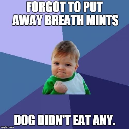 My dog could have died from xylitol poisoning. r/AdviceAnimals