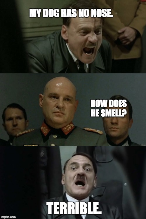 Hitler's Bunker | MY DOG HAS NO NOSE. HOW DOES HE SMELL? TERRIBLE. | image tagged in hitler's bunker | made w/ Imgflip meme maker