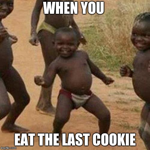 Third World Success Kid Meme | WHEN YOU; EAT THE LAST COOKIE | image tagged in memes,third world success kid | made w/ Imgflip meme maker