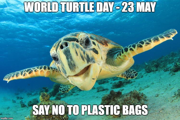 WORLD TURTLE DAY - 23 MAY; SAY NO TO PLASTIC BAGS | made w/ Imgflip meme maker