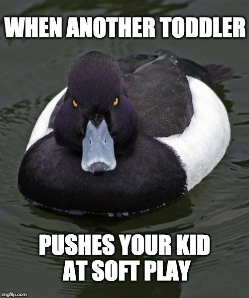 Revenge Duck. | WHEN ANOTHER TODDLER; PUSHES YOUR KID AT SOFT PLAY | image tagged in revenge duck | made w/ Imgflip meme maker