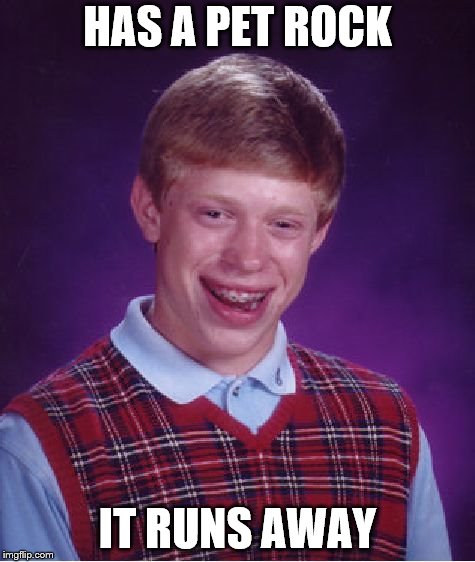 or did it roll? | HAS A PET ROCK; IT RUNS AWAY | image tagged in memes,bad luck brian | made w/ Imgflip meme maker