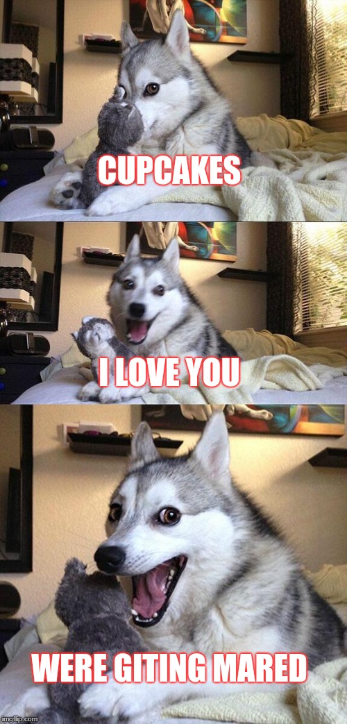 Bad Pun Dog | CUPCAKES; I LOVE YOU; WERE GITING MARED | image tagged in memes,bad pun dog | made w/ Imgflip meme maker