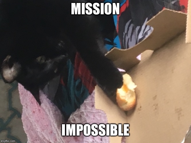 MISSION; IMPOSSIBLE | image tagged in funny | made w/ Imgflip meme maker