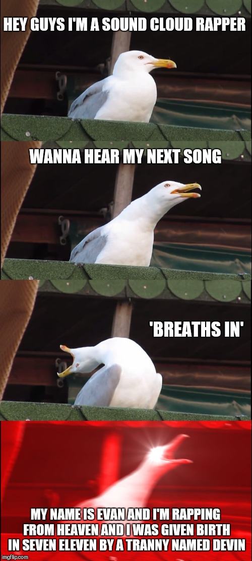 Inhaling Seagull Meme | HEY GUYS I'M A SOUND CLOUD RAPPER; WANNA HEAR MY NEXT SONG; 'BREATHS IN'; MY NAME IS EVAN AND I'M RAPPING FROM HEAVEN AND I WAS GIVEN BIRTH IN SEVEN ELEVEN BY A TRANNY NAMED DEVIN | image tagged in memes,inhaling seagull | made w/ Imgflip meme maker