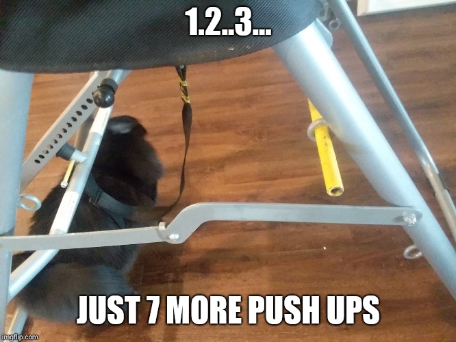 1.2..3... JUST 7 MORE PUSH UPS | made w/ Imgflip meme maker