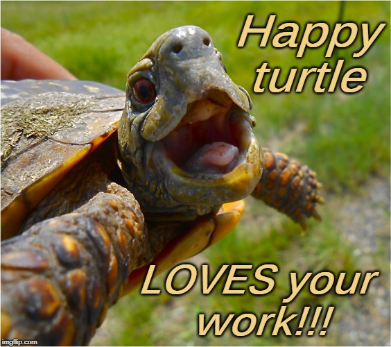 That Face Turtle | Happy turtle; LOVES your work!!! | image tagged in that face turtle | made w/ Imgflip meme maker