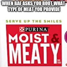 Moist and Meaty | WHEN BAE ASKS YOU BOUT WHAT TYPE OF MEAT YOU PROVIDE | image tagged in meat,moist,funny | made w/ Imgflip meme maker