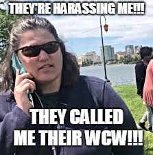 wcw | THEY'RE HARASSING ME!!! THEY CALLED ME THEIR WCW!!! | image tagged in wcw,bbq becky | made w/ Imgflip meme maker