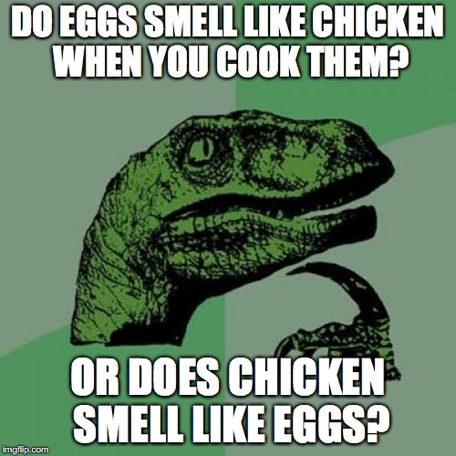 Philosoraptor Meme | DO EGGS SMELL LIKE CHICKEN WHEN YOU COOK THEM? OR DOES CHICKEN SMELL LIKE EGGS? | image tagged in memes,philosoraptor | made w/ Imgflip meme maker
