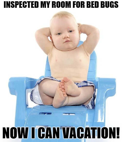 Baby Chilling on Vacation | INSPECTED MY ROOM FOR BED BUGS; NOW I CAN VACATION! | image tagged in baby chillin vacation,baby,relaxed,vacation,chillin | made w/ Imgflip meme maker
