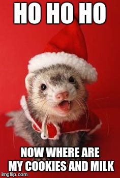 HO HO HO; NOW WHERE ARE MY COOKIES AND MILK | image tagged in santa ferret | made w/ Imgflip meme maker