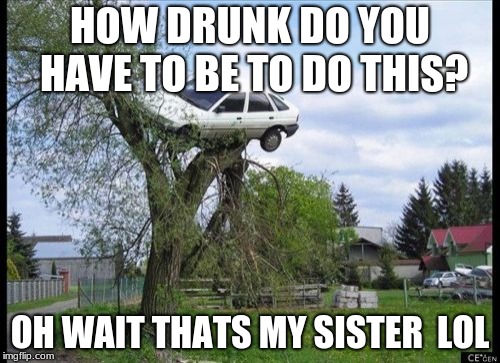 Secure Parking | HOW DRUNK DO YOU HAVE TO BE TO DO THIS? OH WAIT THATS MY SISTER 
LOL | image tagged in memes,secure parking | made w/ Imgflip meme maker