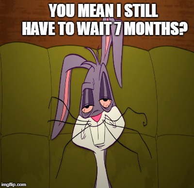 YOU MEAN I STILL HAVE TO WAIT 7 MONTHS? | made w/ Imgflip meme maker