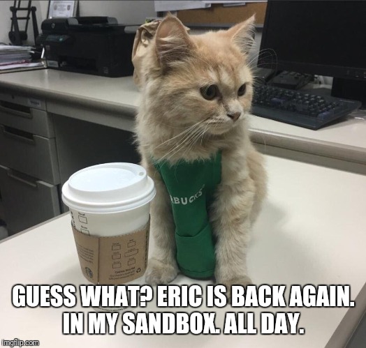 Cat barista  | GUESS WHAT? ERIC IS BACK AGAIN. IN MY SANDBOX. ALL DAY. | image tagged in cat barista | made w/ Imgflip meme maker