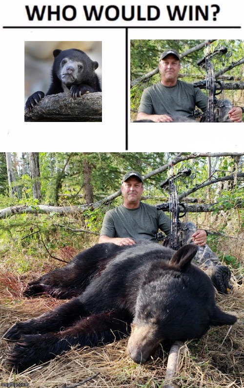 Confession Bear vs. Bow Hunter | image tagged in memes,funny meme,funny memes,confession bear | made w/ Imgflip meme maker