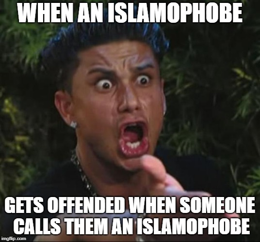 Islamophobes Are Dumber Than We Think | WHEN AN ISLAMOPHOBE; GETS OFFENDED WHEN SOMEONE CALLS THEM AN ISLAMOPHOBE | image tagged in memes,dj pauly d,islamophobia,stupidity,snowflakes,snowflake | made w/ Imgflip meme maker