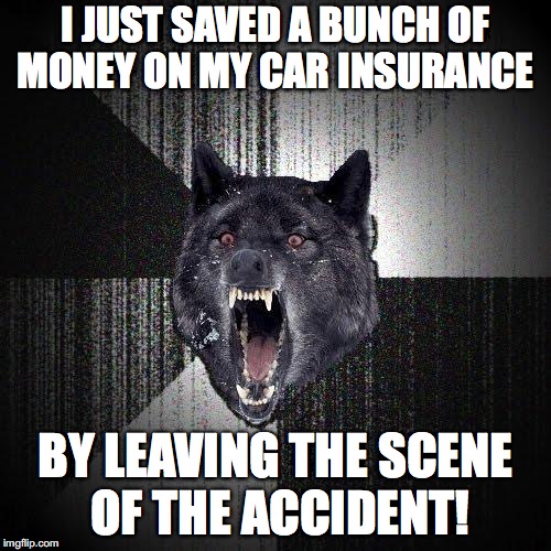 Insanity Wolf Meme | I JUST SAVED A BUNCH OF MONEY ON MY CAR INSURANCE; BY LEAVING THE SCENE OF THE ACCIDENT! | image tagged in memes,insanity wolf | made w/ Imgflip meme maker