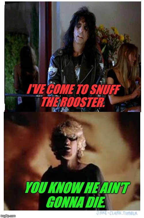 YOU KNOW HE AIN'T GONNA DIE. I'VE COME TO SNUFF THE ROOSTER. | made w/ Imgflip meme maker