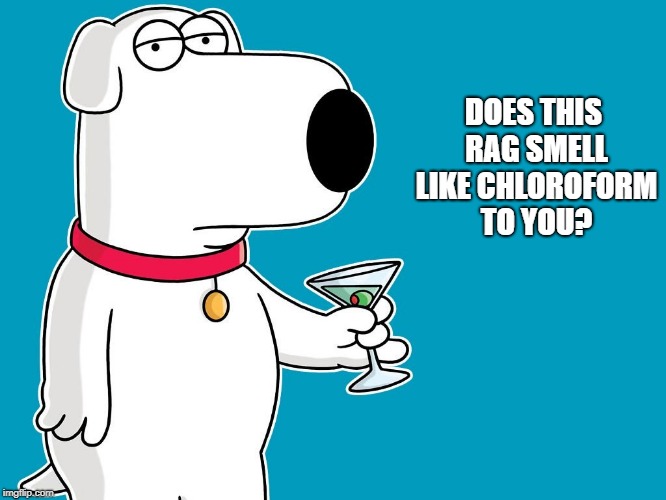dog | DOES THIS RAG SMELL LIKE CHLOROFORM TO YOU? | image tagged in dog | made w/ Imgflip meme maker