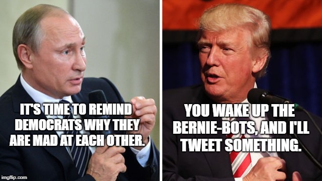 Putin and Trump | IT'S TIME TO REMIND DEMOCRATS WHY THEY ARE MAD AT EACH OTHER. YOU WAKE UP THE BERNIE-BOTS, AND I'LL TWEET SOMETHING. | image tagged in putin and trump | made w/ Imgflip meme maker