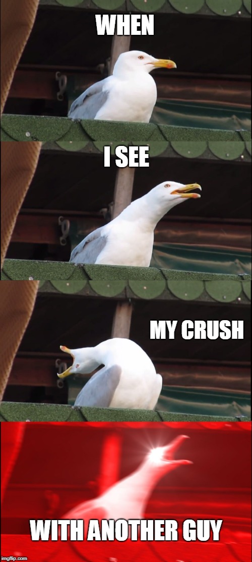 Inhaling Seagull Meme | WHEN; I SEE; MY CRUSH; WITH ANOTHER GUY | image tagged in memes,inhaling seagull | made w/ Imgflip meme maker