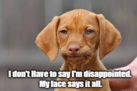 Disappointed Dog | I don't Have to say I'm disappointed. My face says it all. | image tagged in disappointed dog | made w/ Imgflip meme maker