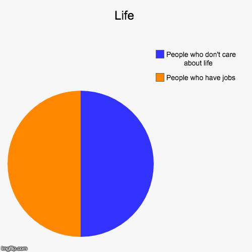 Life | People who have jobs, People who don't care                  about life | image tagged in funny,pie charts | made w/ Imgflip chart maker