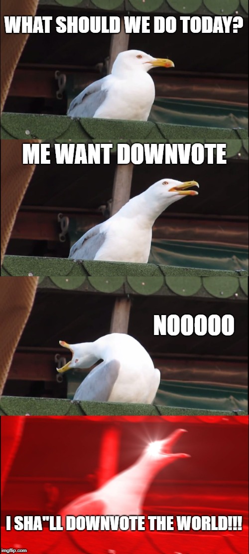 Inhaling Seagull | WHAT SHOULD WE DO TODAY? ME WANT DOWNVOTE; NOOOOO; I SHA"LL DOWNVOTE THE WORLD!!! | image tagged in memes,inhaling seagull | made w/ Imgflip meme maker