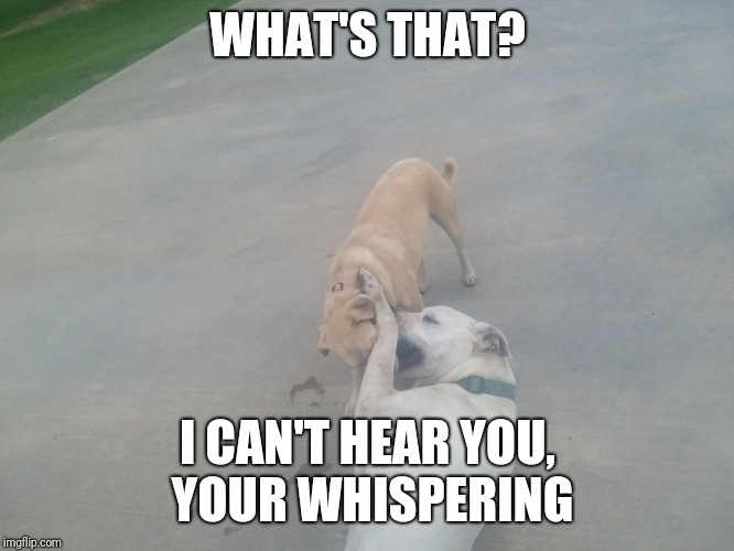 WHAT'S THAT? I CAN'T HEAR YOU, YOUR WHISPERING | made w/ Imgflip meme maker