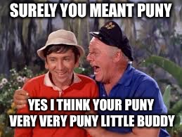 SURELY YOU MEANT PUNY YES I THINK YOUR PUNY VERY VERY PUNY LITTLE BUDDY | made w/ Imgflip meme maker