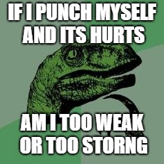 Time raptor  | IF I PUNCH MYSELF AND ITS HURTS; AM I TOO WEAK OR TOO STORNG | image tagged in time raptor | made w/ Imgflip meme maker