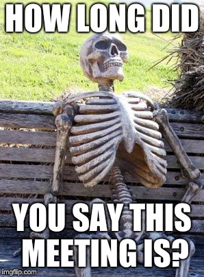 Waiting Skeleton | HOW LONG DID; YOU SAY THIS MEETING IS? | image tagged in memes,waiting skeleton | made w/ Imgflip meme maker
