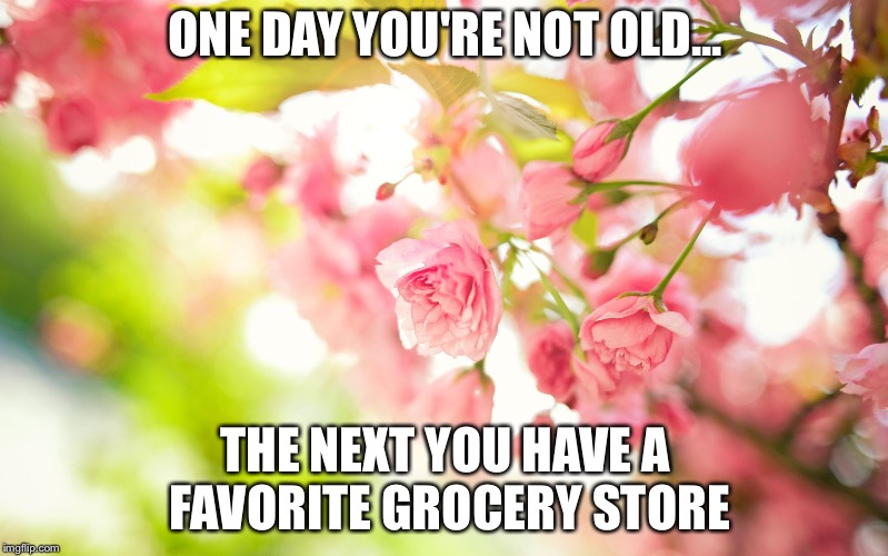 Pretty pink flowers | ONE DAY YOU'RE NOT OLD... THE NEXT YOU HAVE A FAVORITE GROCERY STORE | image tagged in pretty pink flowers | made w/ Imgflip meme maker