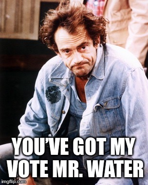 Iggy Pop | YOU’VE GOT MY VOTE MR. WATER | image tagged in iggy pop | made w/ Imgflip meme maker