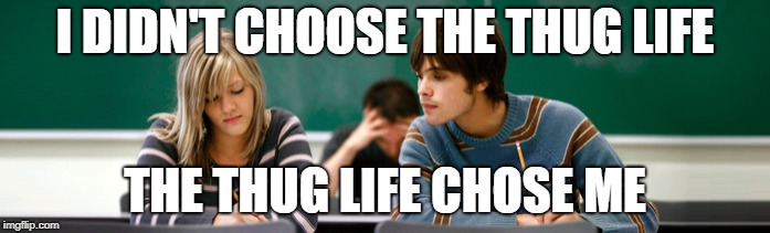 I DIDN'T CHOOSE THE THUG LIFE; THE THUG LIFE CHOSE ME | image tagged in thug life | made w/ Imgflip meme maker