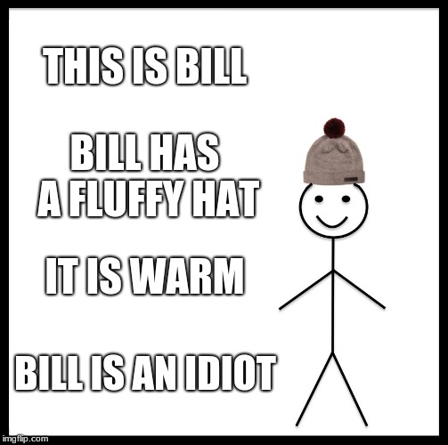 Be Like Bill | THIS IS BILL; BILL HAS A FLUFFY HAT; IT IS WARM; BILL IS AN IDIOT | image tagged in memes,be like bill | made w/ Imgflip meme maker