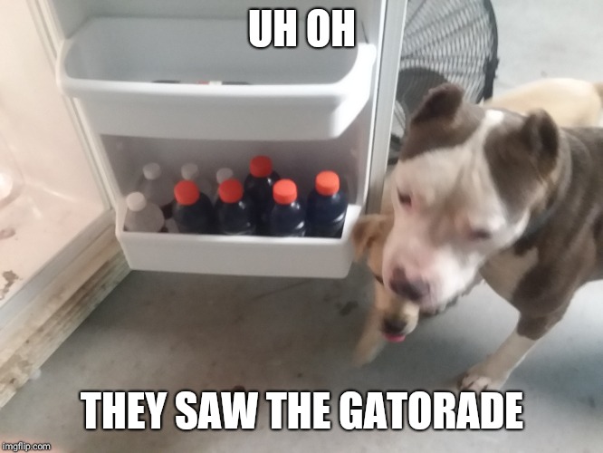 UH OH; THEY SAW THE GATORADE | made w/ Imgflip meme maker