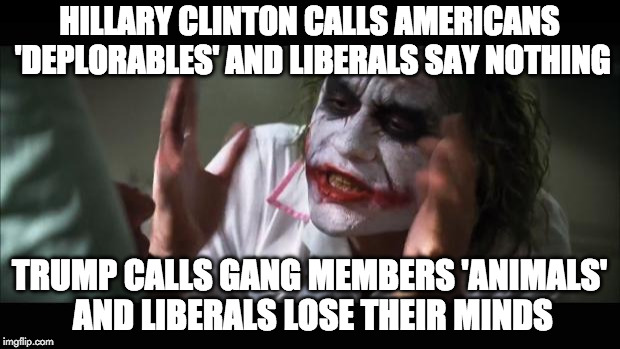 Double standards much? | HILLARY CLINTON CALLS AMERICANS 'DEPLORABLES' AND LIBERALS SAY NOTHING; TRUMP CALLS GANG MEMBERS 'ANIMALS' AND LIBERALS LOSE THEIR MINDS | image tagged in memes,and everybody loses their minds,liberals,donald trump,hillary clinton,deplorable | made w/ Imgflip meme maker